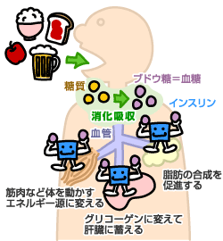 糖尿病とはどんな病気?